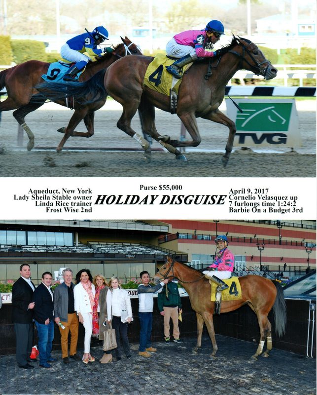 Holiday Disguise — 4/9/17