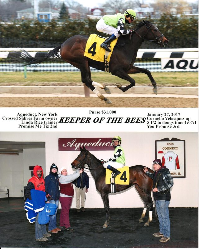 Keeper Of The Bees — 1/27/17