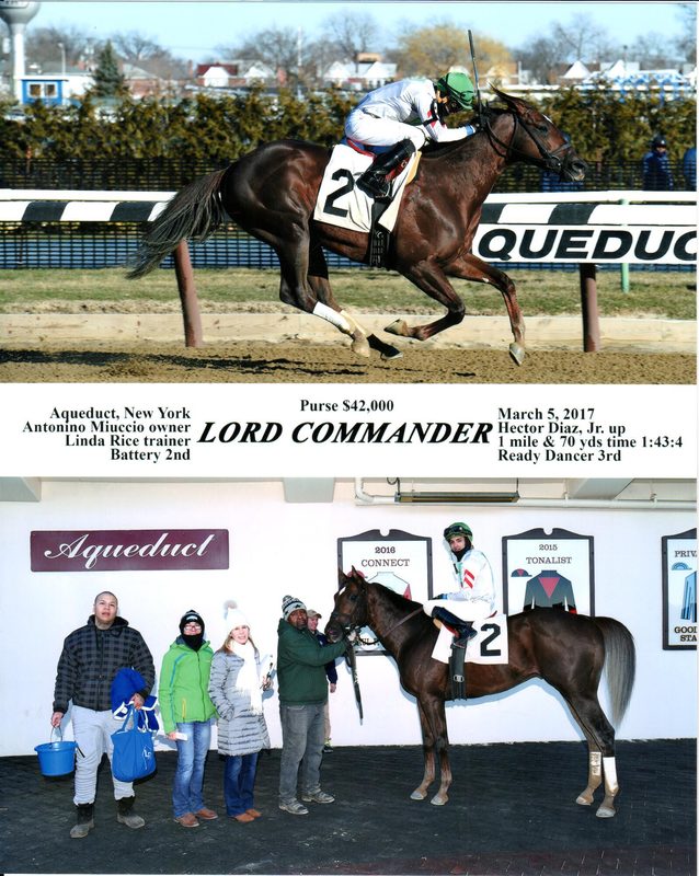 Lord Commander — 3/5/17