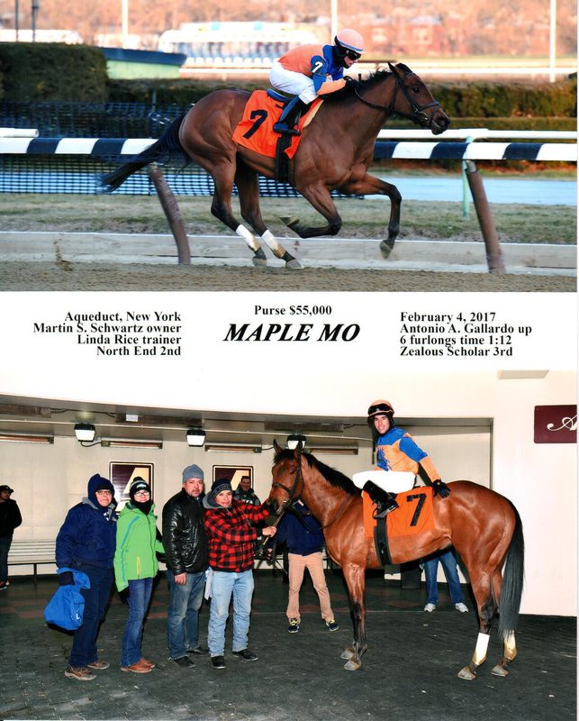 Maple Mo — 2/4/17