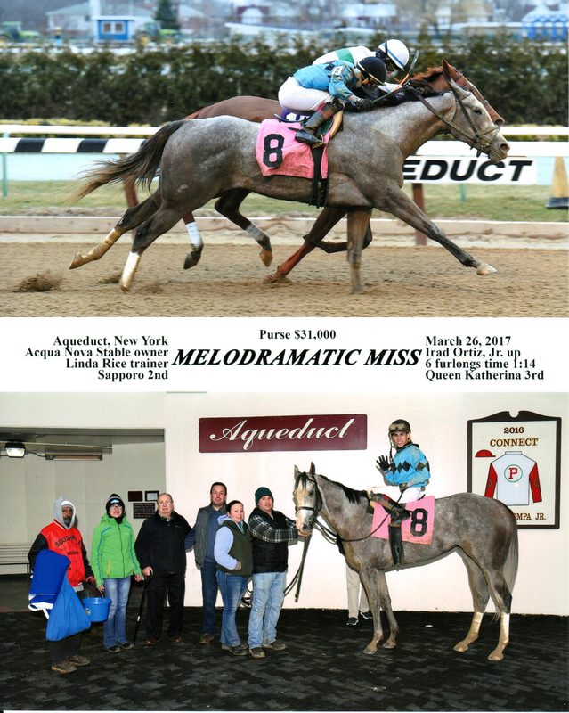 Melodramatic Miss — 3/26/17