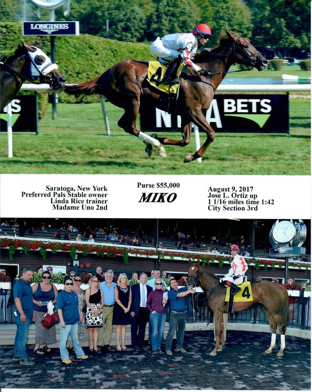 Miko — 8/9/17