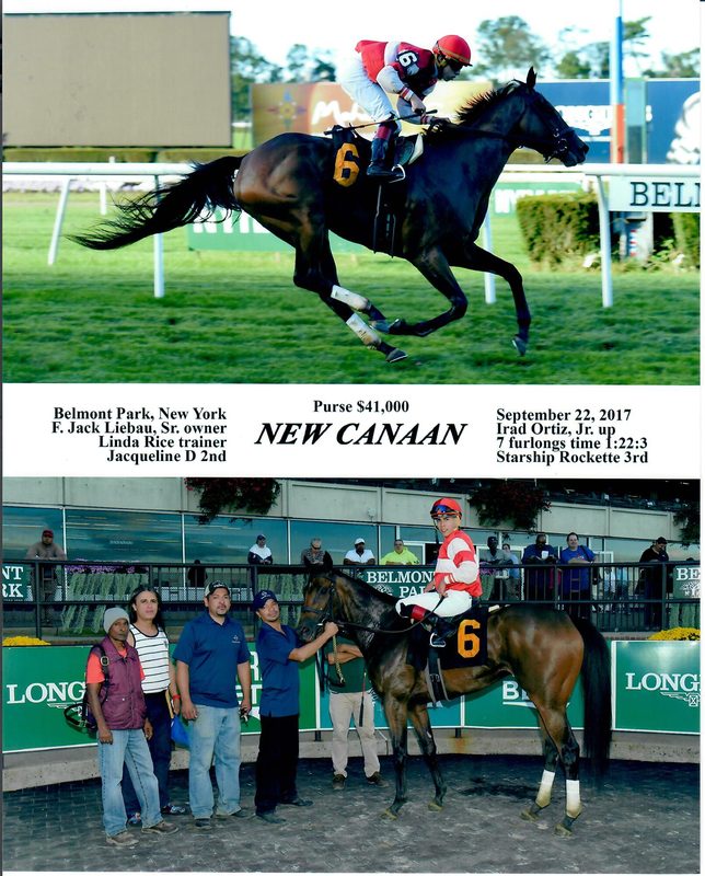 New Canaan — 8/22/17