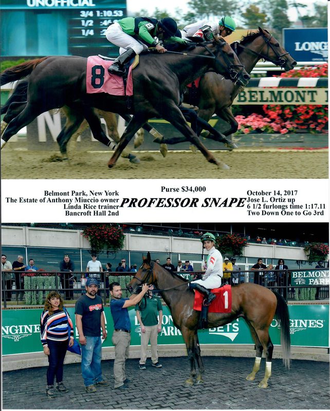 Professor Snape — 10/14/17