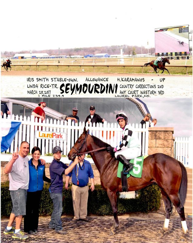 Seymourdini — 3/25/17