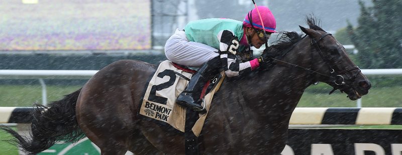 Seymourdini Impresses at Belmont