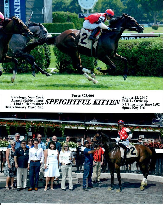 Speightful Kitten — 8/28/17