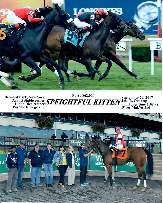 Speightful Kitten — 8/29/17