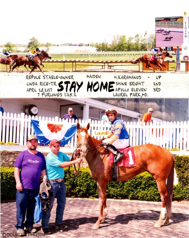 Stay Home — 4/28/17
