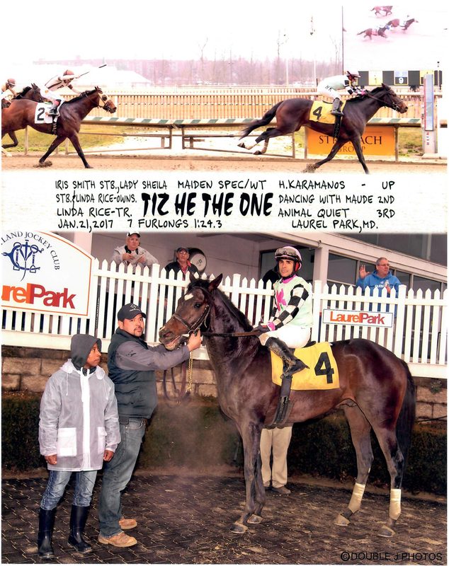 Tiz He The One — 1/21/17