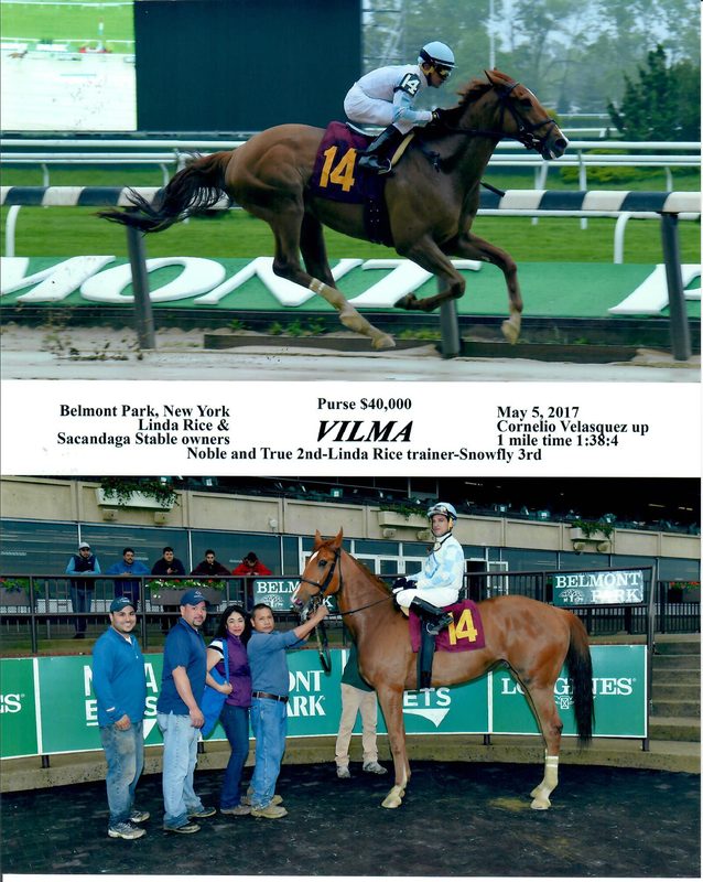 Vilma — 5/5/17