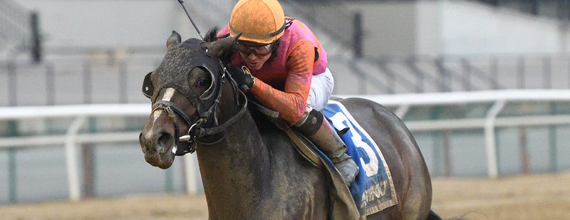 Options Open For Max Player After Strong Belmont Showing