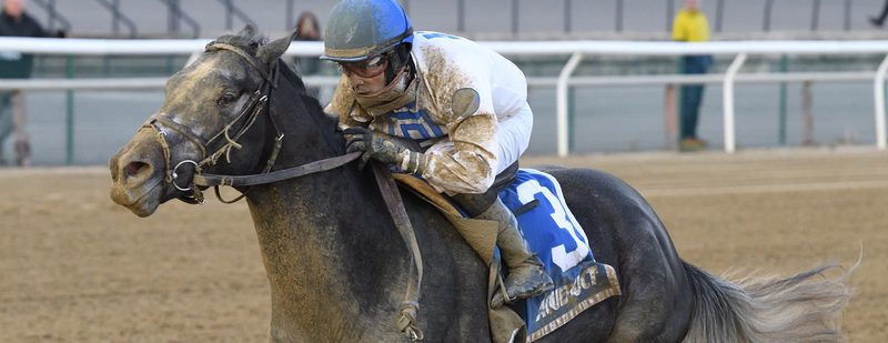 Montauk Traffic Goes Last to First in Jimmy Winkfield S.