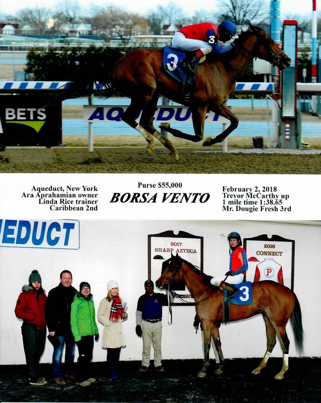 Borsa Vento — 2/2/18