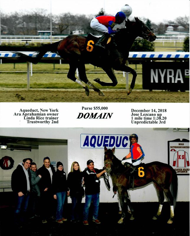 Domain — 12/14/18