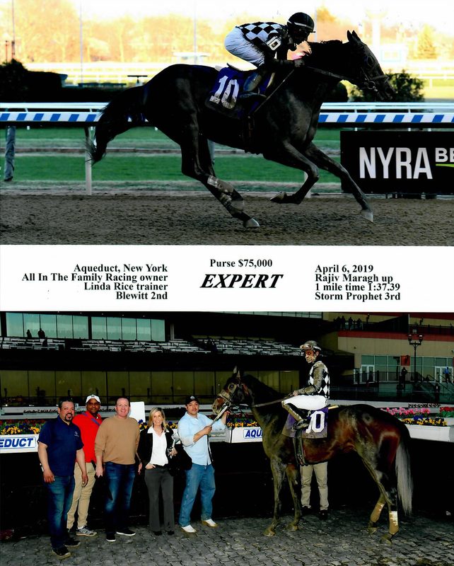 Expert — 4/6/19