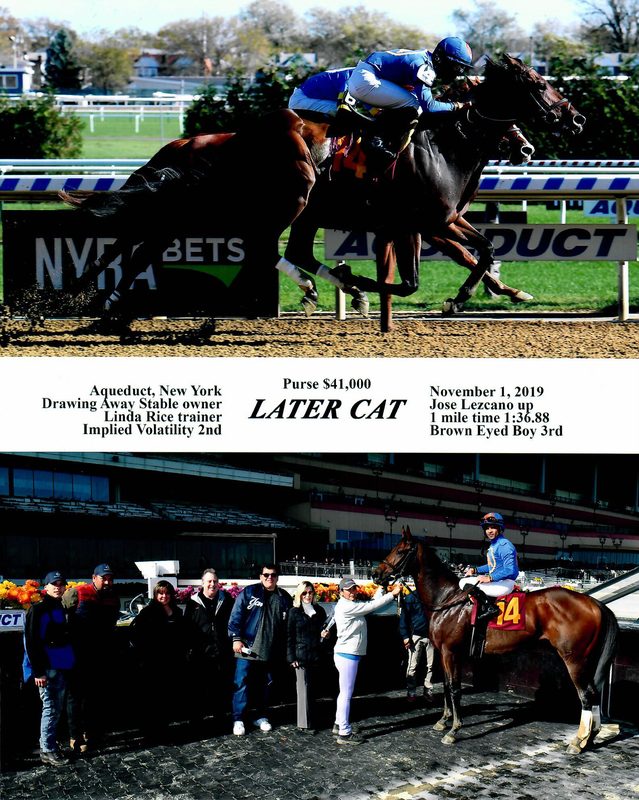 Later Cat — 11/1/19