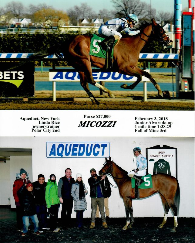 Micozzi — 2/3/18