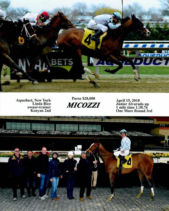 Micozzi — 4/15/18
