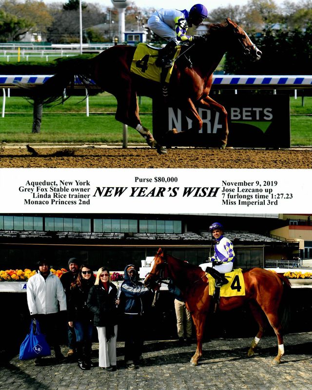 New Years Wish — 11/9/19