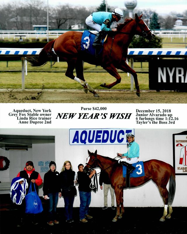 New Years Wish — 12/15/18