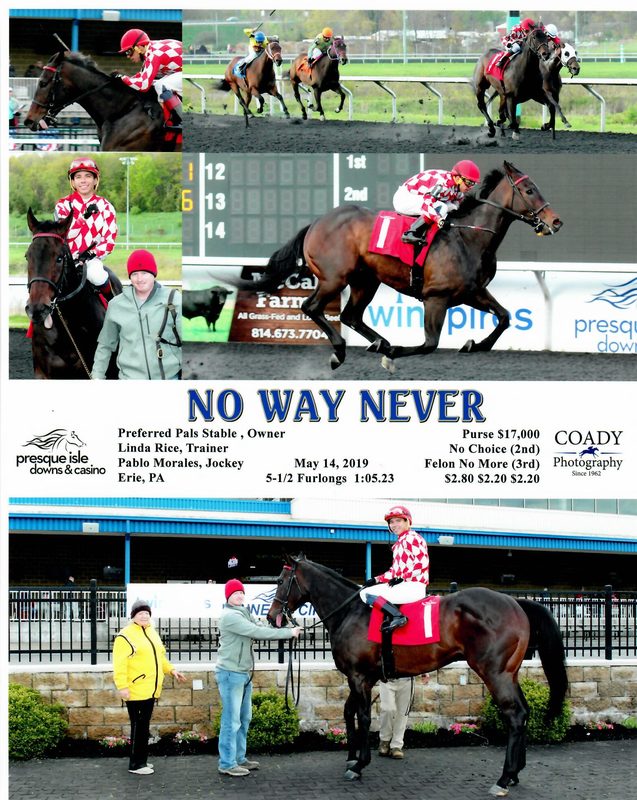 No Way Never — 5/14/19