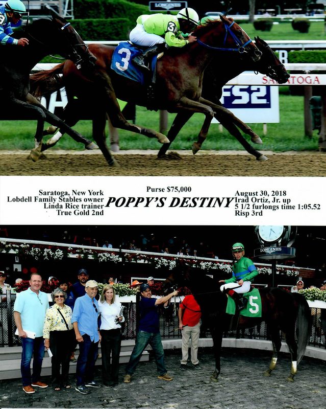 Poppys Destiny — 8/30/18