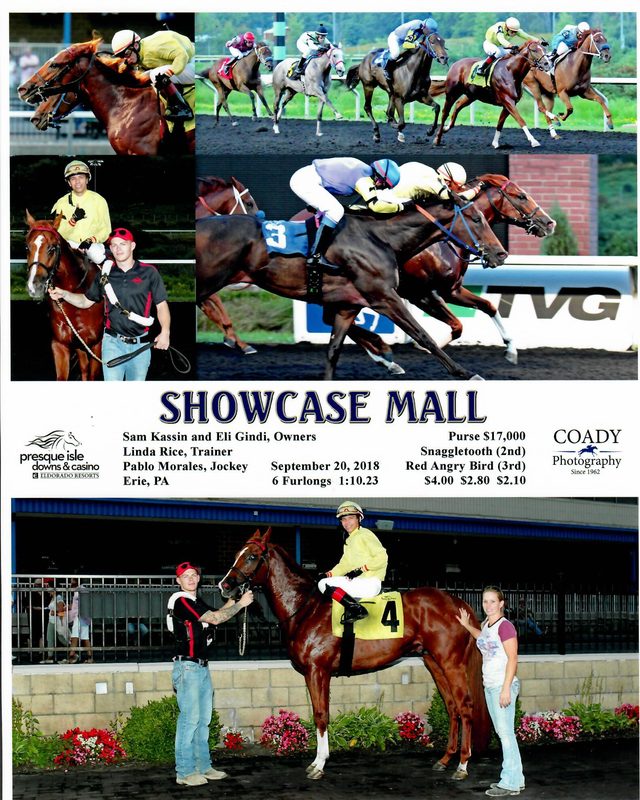 Showcase Mall — 9/20/28