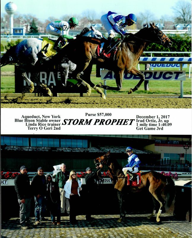 Storm Prophet — 12/1/17