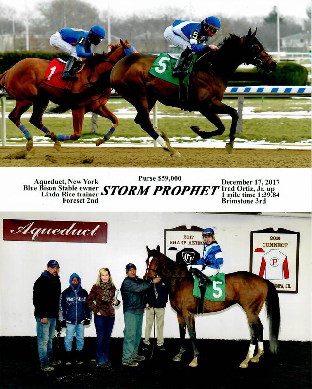 Storm Prophet — 12/17/17