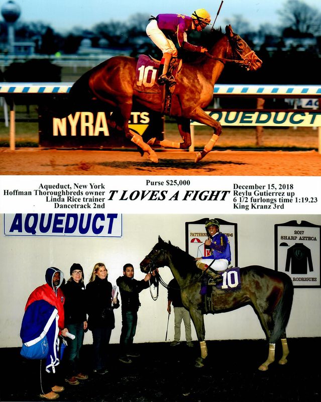 T Loves A Fight — 12/15/18