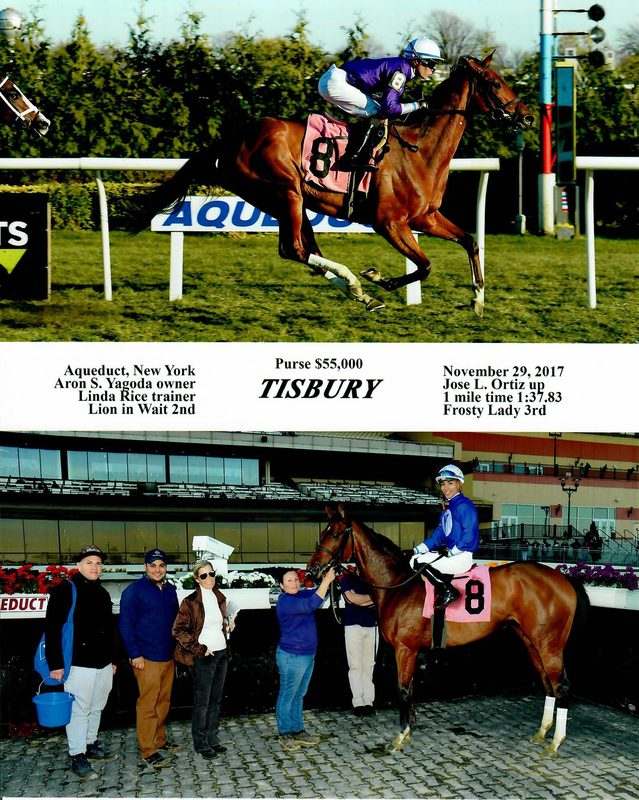 Tisbury — 11/29/17