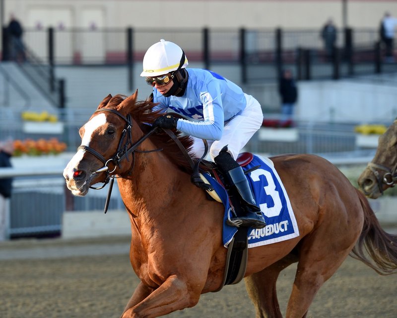 Sassy Agnes – 11/23/18 · $100,000 Key Cents Stakes, Aqueduct
