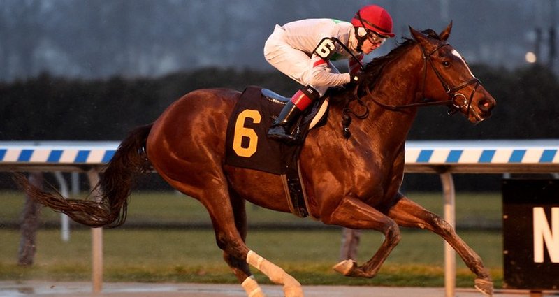 Blindwillie McTell – 12/16/18 · $150,000 New York Stallion Series Stakes, Aqueduct