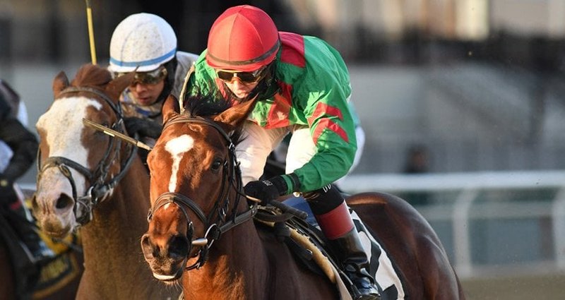 Blindwillie McTell – 1/13/19 · $100,000 Rego Park Stakes, Aqueduct