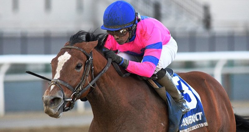 Holiday Disguise – 2/16/19 · $100,000 Broadway Stakes, Aqueduct