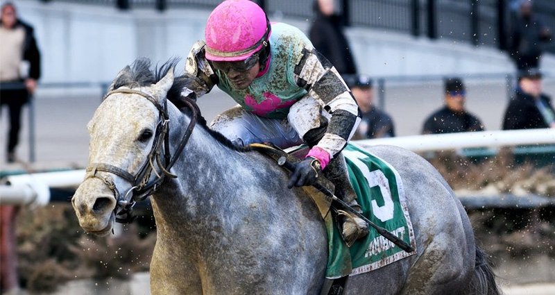 Startwithsilver – 3/16/19 · $100,000 Correction Stakes, Aqueduct