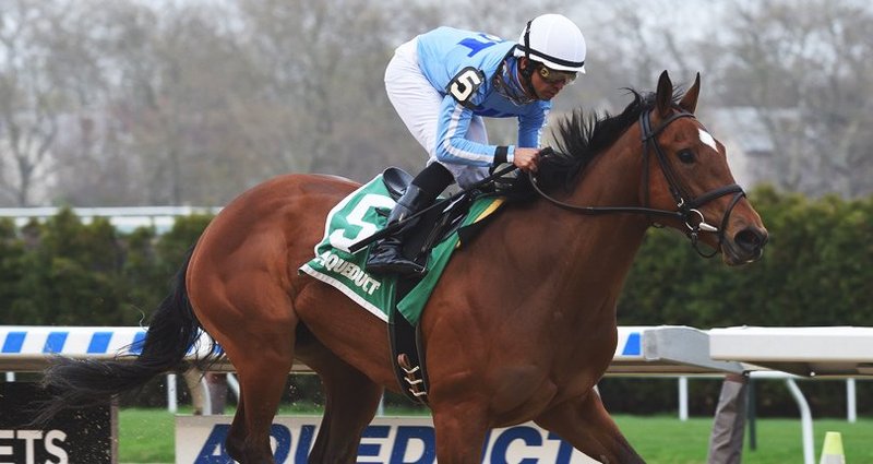 Newly Minted – 4/20/19 · $200,000 New York Stallion Stakes, Aqueduct