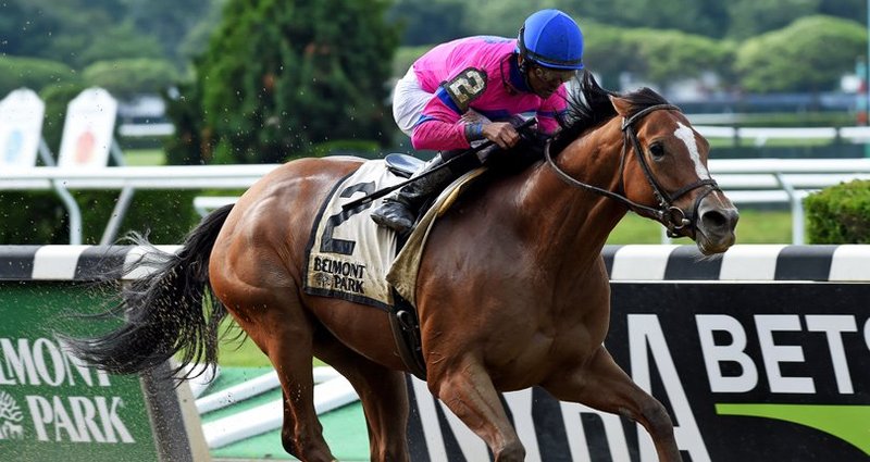 Holiday Disguise – 6/15/19 · $100,000 Dancin Renee Stakes, Belmont Park