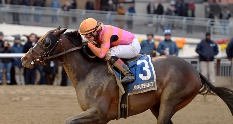 Max Player – 2/1/20 · $250,000 Withers Stakes (G3), Aqueduct