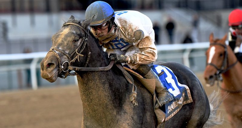 Montauk Traffic – 2/8/20 · $100,000 Jimmy Winkfield Stakes, Aqueduct
