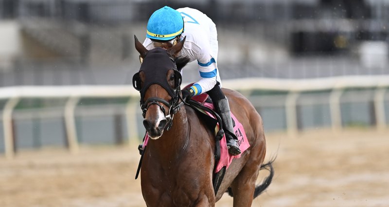 Pioneering Spirit – 10/20/23 · $150,000 Knickerbocker Stakes (G3), Belmont at the Big A