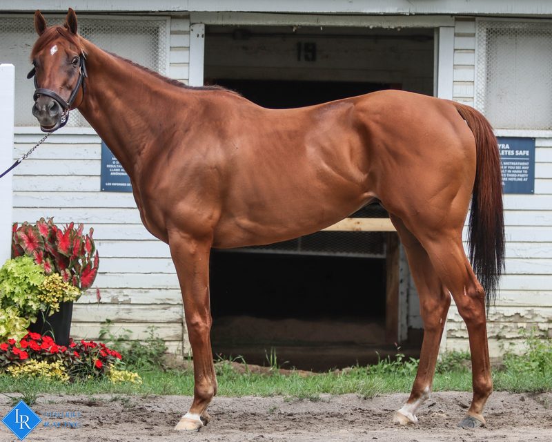 Glen Airy, conformation