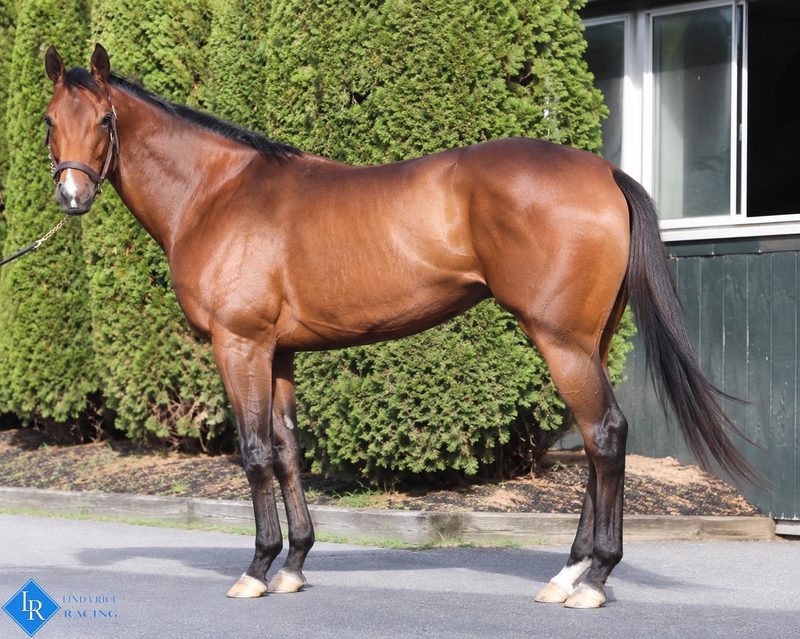 Queen's Corner, conformation