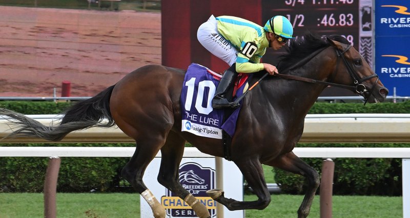Film Star – 8/3/24 · $135,000 Fasig-Tipton Lure Stakes, Saratoga