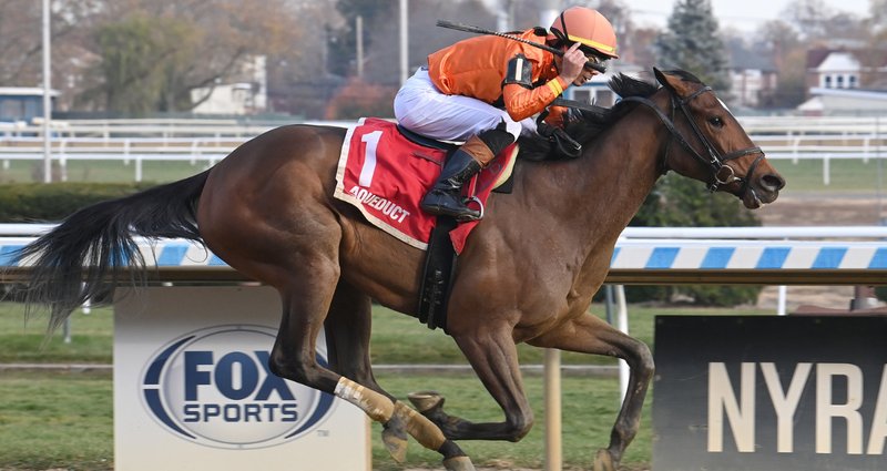 With the Angels – 11/17/24 · $100,000 Key Cents Stakes, Aqueduct