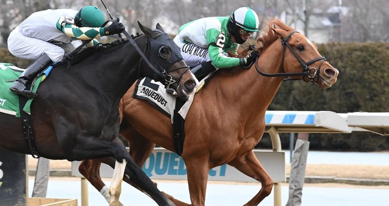 Sand Devil – 2/8/25 · $125,000 Damon Runyon Stakes, Aqueduct