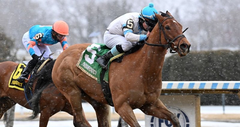 Sheriff Bianco – 2/15/25 · $125,000 Say Florida Sandy Stakes, Aqueduct