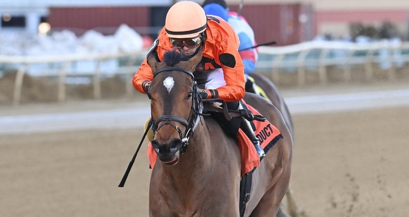 With the Angels – 3/1/26 · $135,000 Correction Stakes, Aqueduct