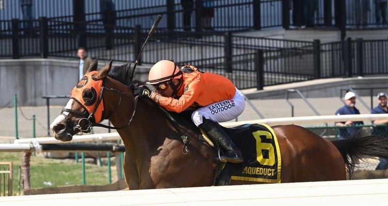 Yo Daddy – 4/4/26 · $150,000 Excelsior Stakes, Aqueduct